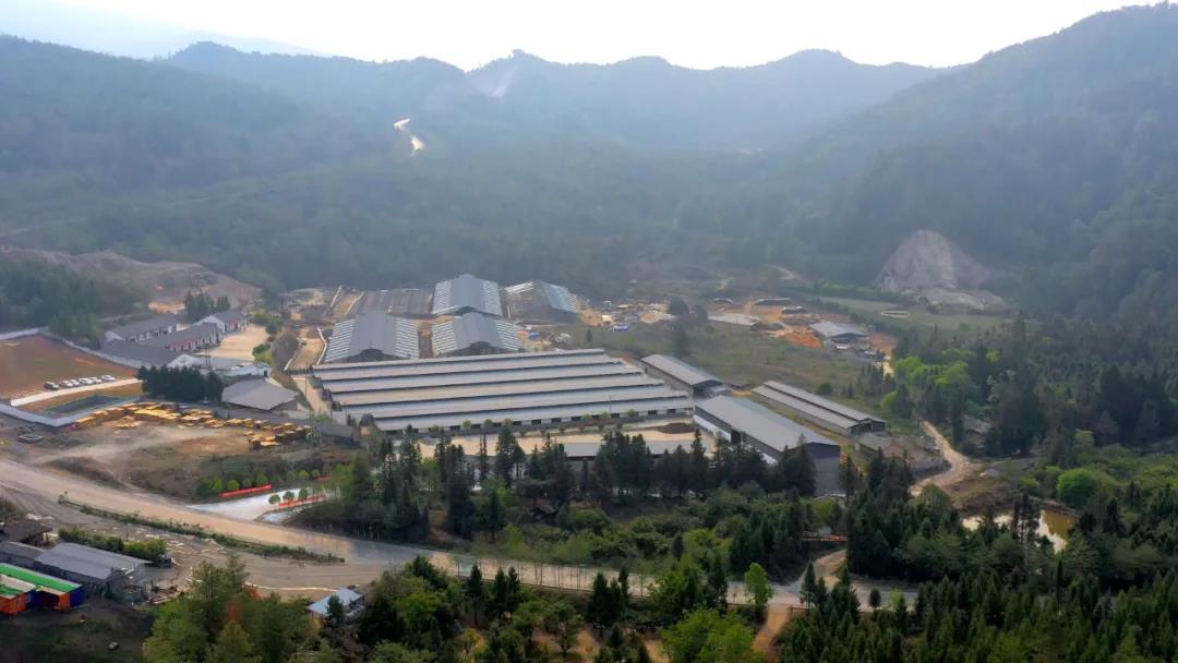 1636096585145605.jpg WeChat Image_20211105151615.jpg