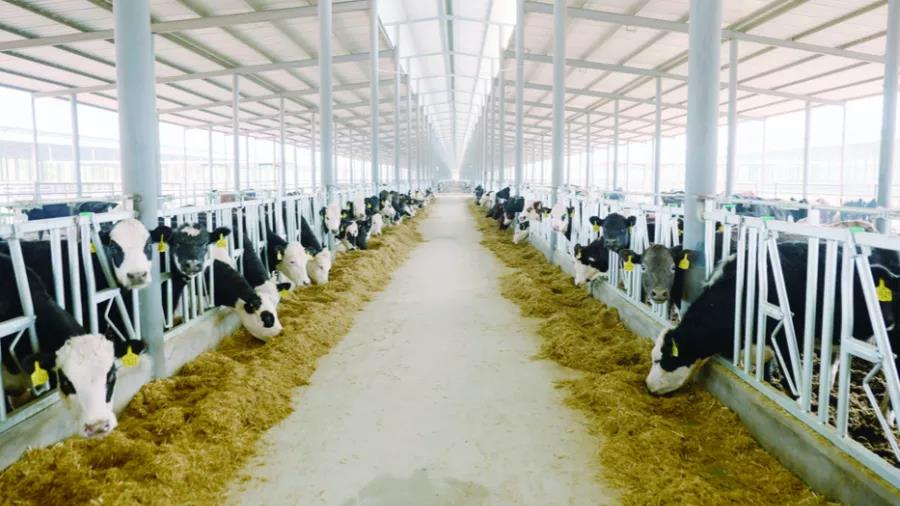 1644806727695829.jpg WeChat Image_20220214104517.jpg