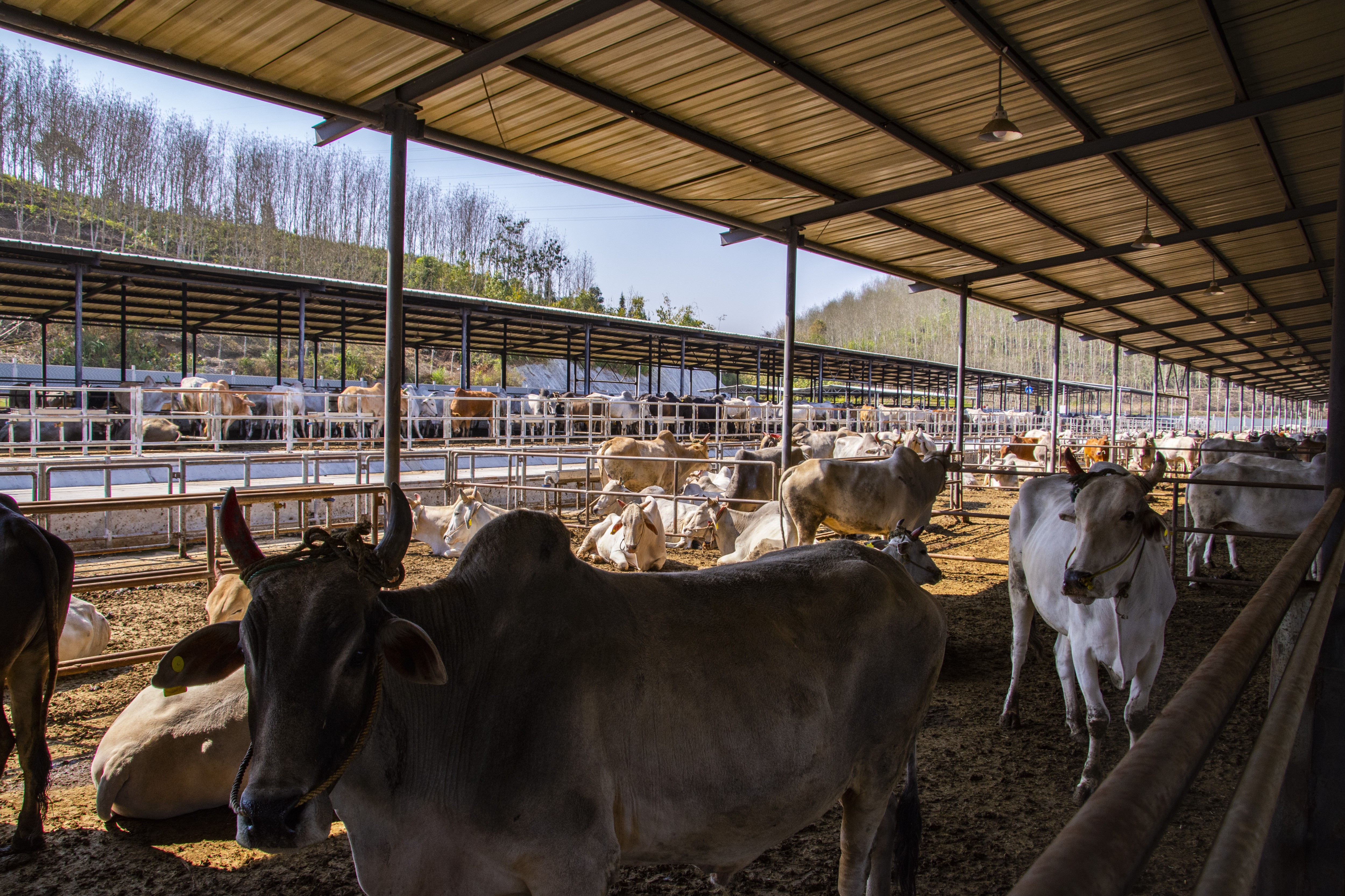 1685688784841457.jpg 微信图片_20200730112908(1).jpg