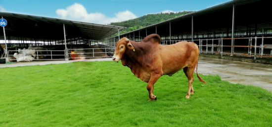 1688360899678642.png 20230630042305.png